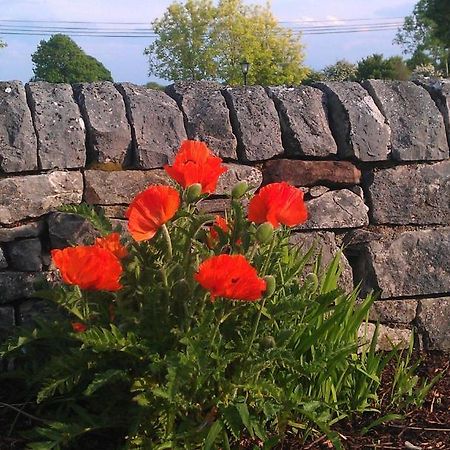 Ashfield House B&B Cong Εξωτερικό φωτογραφία